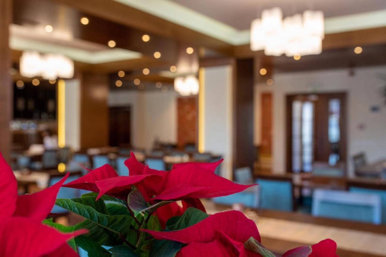 Hotel Buchenland Гура Хуморулуй Екстериор снимка